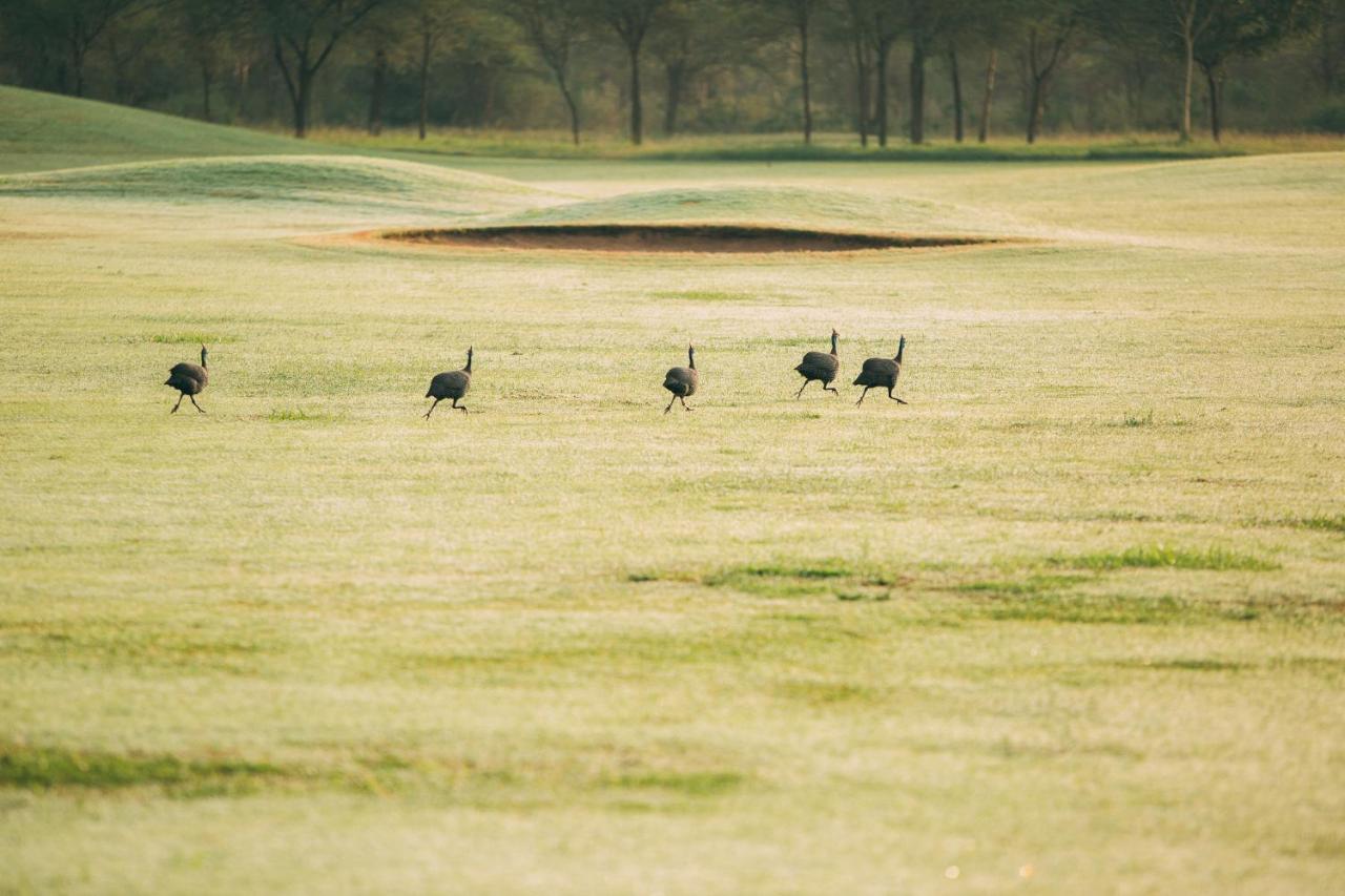 The Safari House Hotel Usa River Bagian luar foto